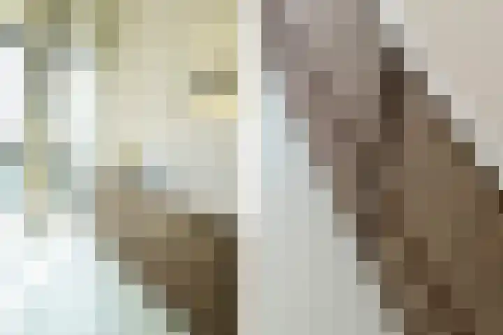 Surinamepad 192 Haarlem thumbnail 22
