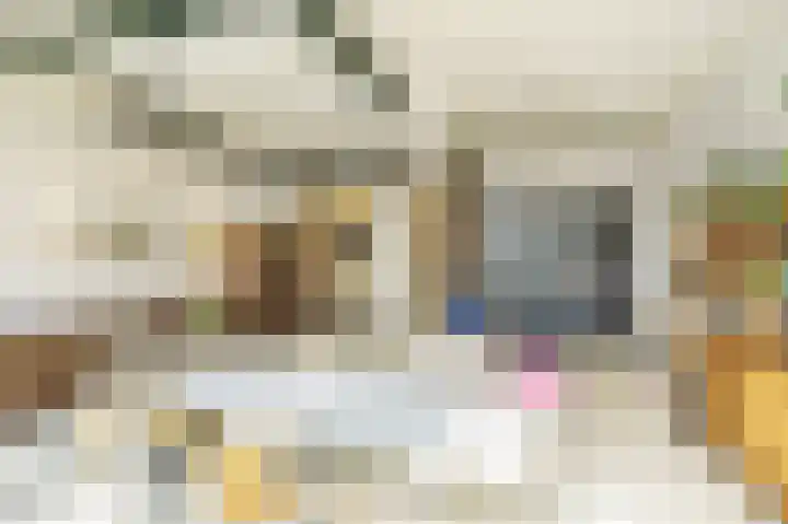 Surinamepad 192 Haarlem thumbnail 4