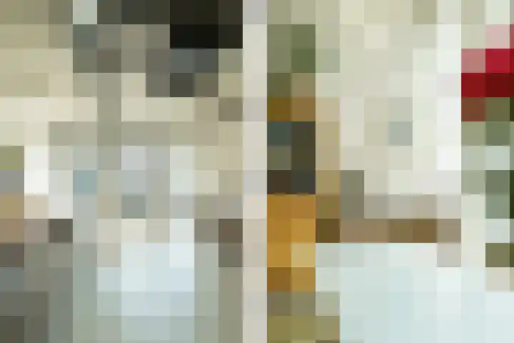 Surinamepad 192 Haarlem thumbnail 43