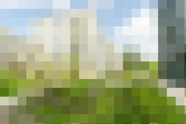 Surinamepad 192 Haarlem thumbnail 6