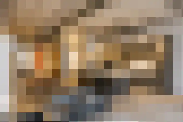 Surinamepad 204 Haarlem thumbnail 11