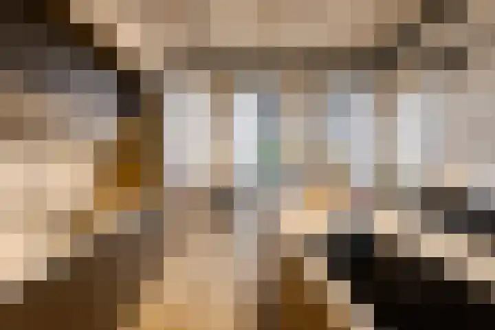 Surinamepad 204 Haarlem thumbnail 14