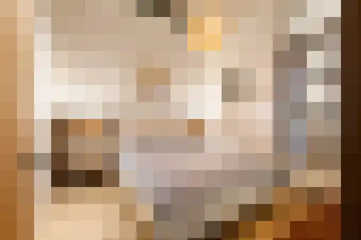 Surinamepad 204 Haarlem thumbnail 15