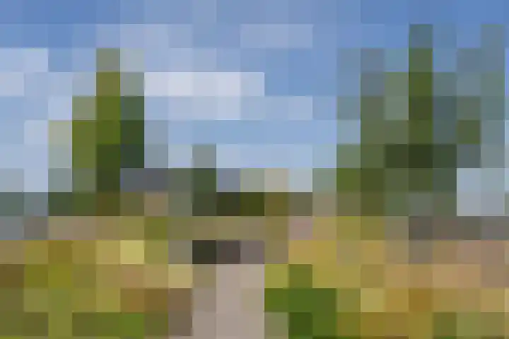 Surinamepad 204 Haarlem thumbnail 23