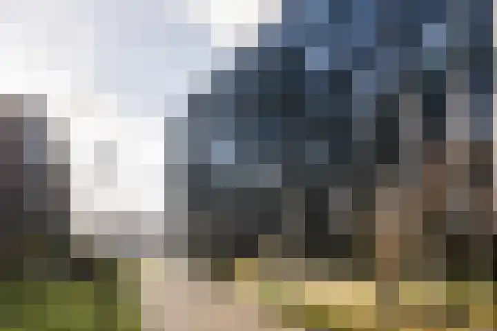 Surinamepad 204 Haarlem thumbnail 25