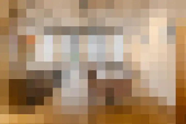 Surinamepad 204 Haarlem thumbnail 5