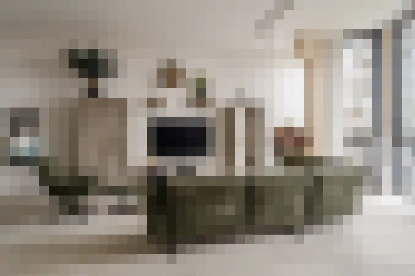 Surinamepad 212 Haarlem thumbnail 17