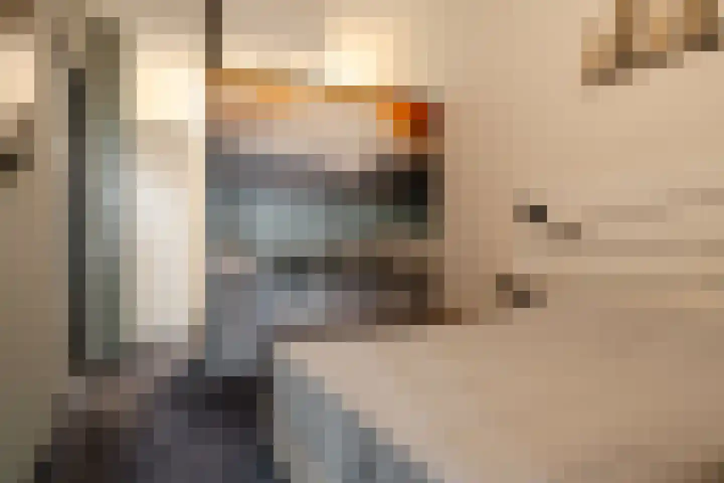 Surinamepad 212 Haarlem thumbnail 30
