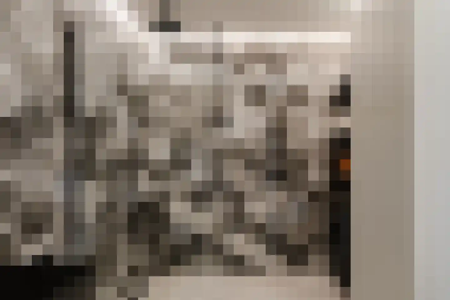 Surinamepad 212 Haarlem thumbnail 34