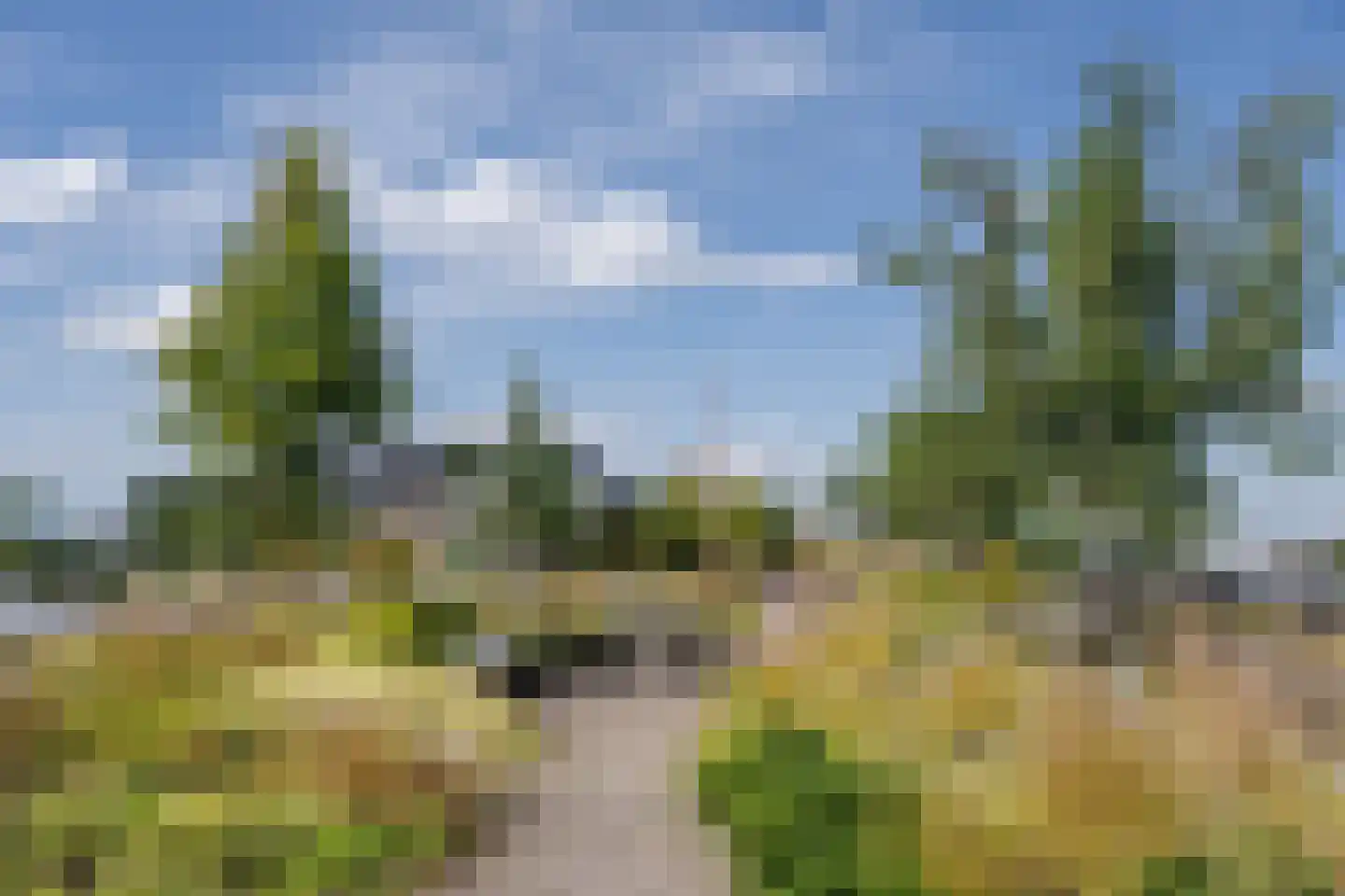 Surinamepad 212 Haarlem thumbnail 37