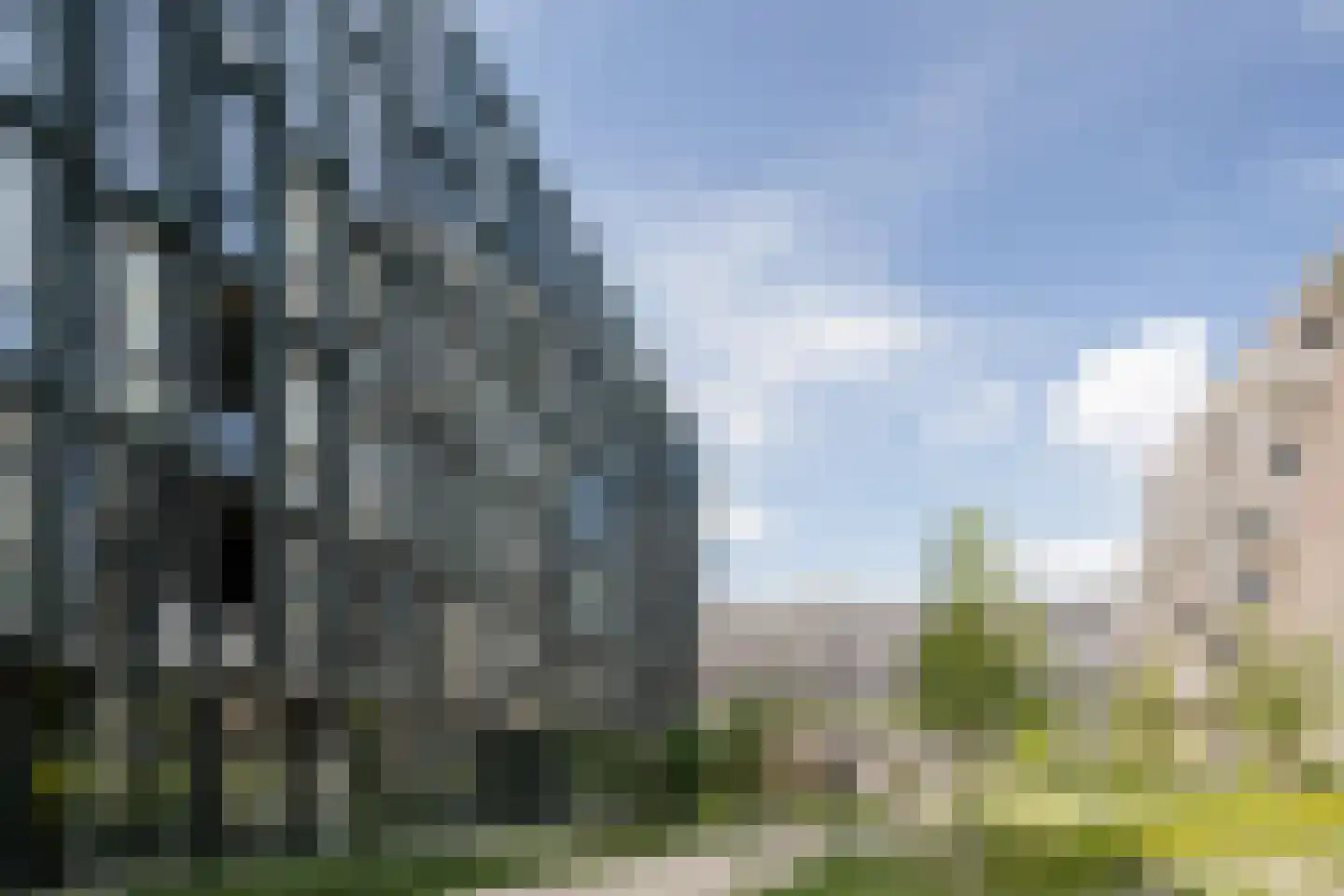 Surinamepad 212 Haarlem thumbnail 5