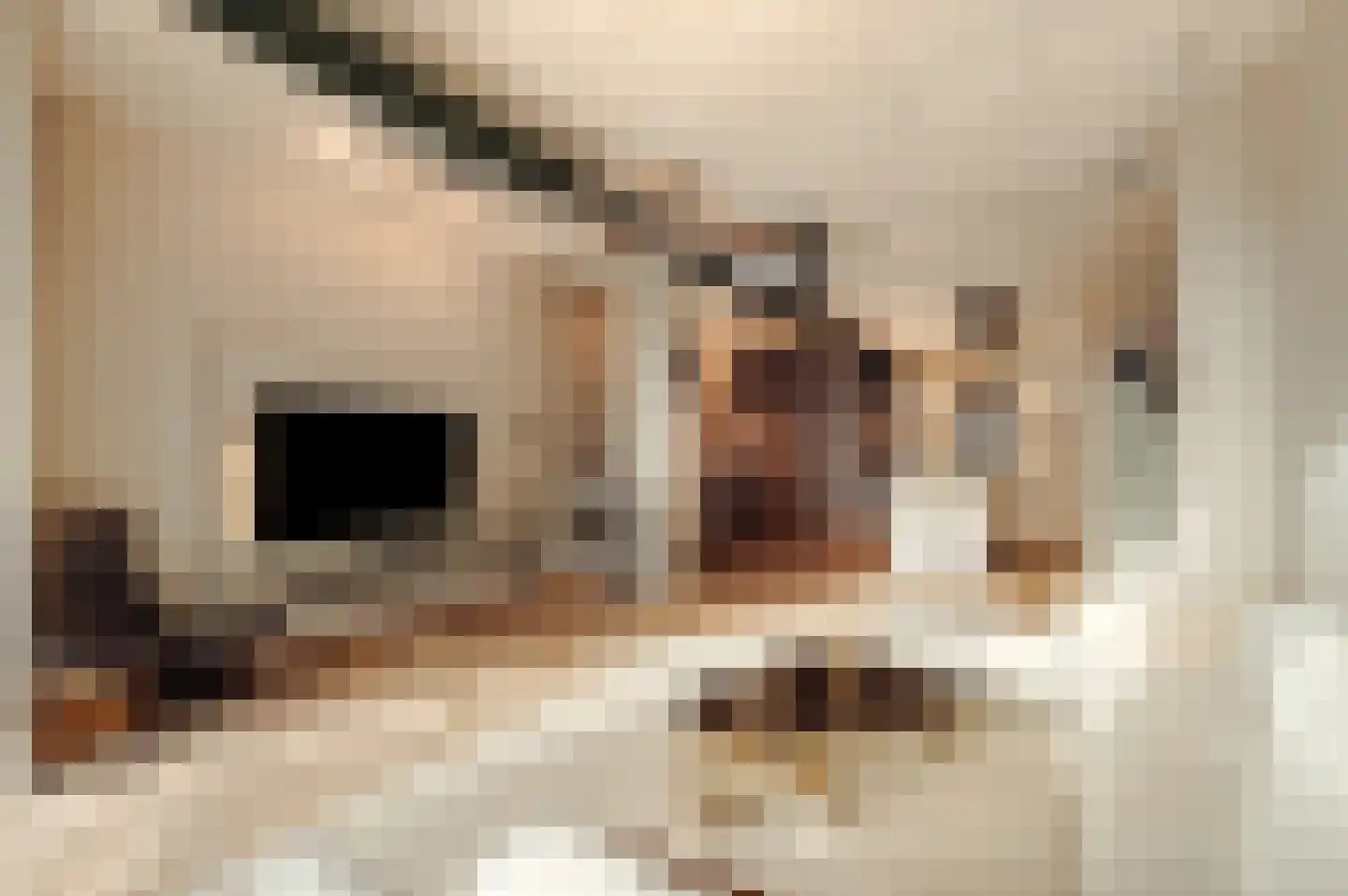 Surinamepad 232 Haarlem thumbnail 13