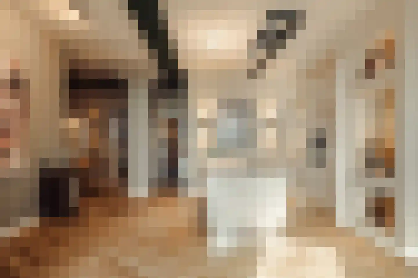 Surinamepad 232 Haarlem thumbnail 17