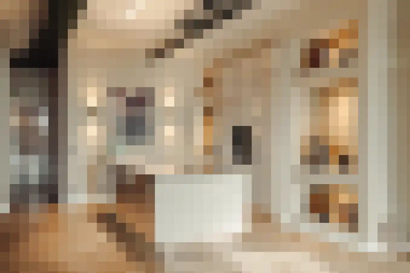 Surinamepad 232 Haarlem thumbnail 18