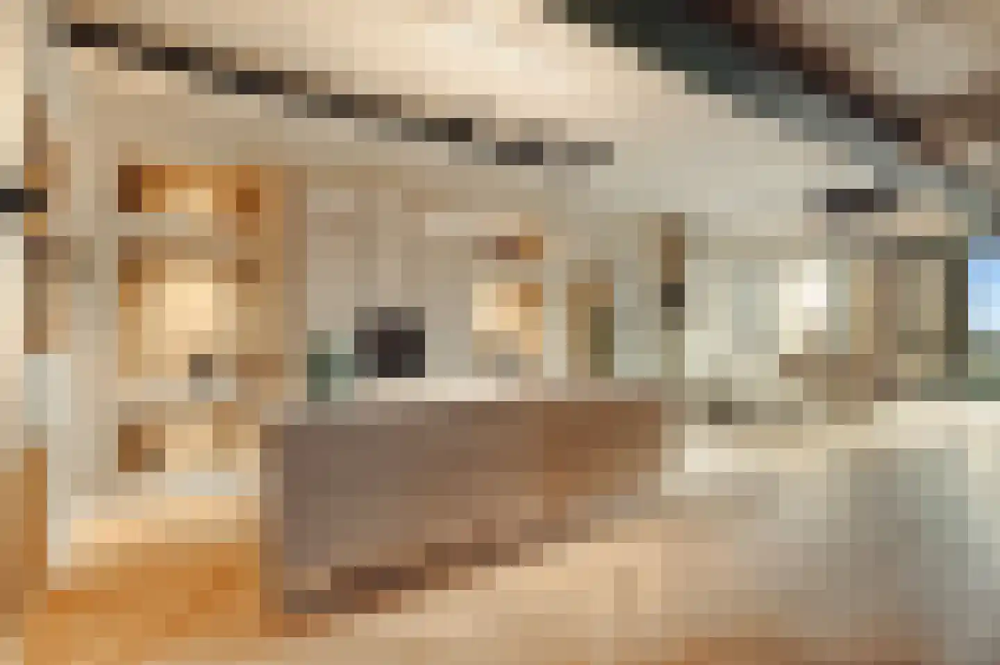 Surinamepad 232 Haarlem thumbnail 24