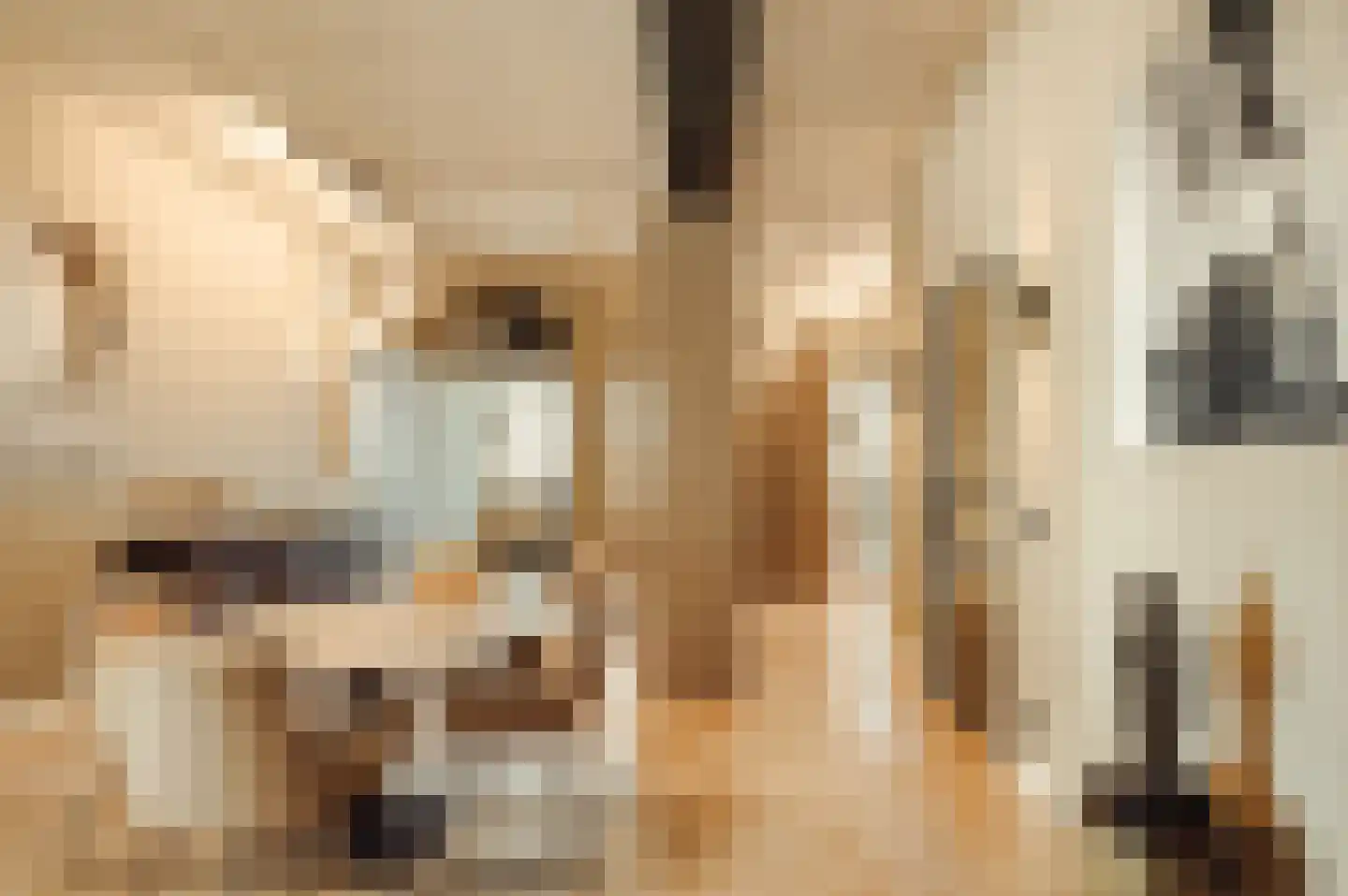 Surinamepad 232 Haarlem thumbnail 31