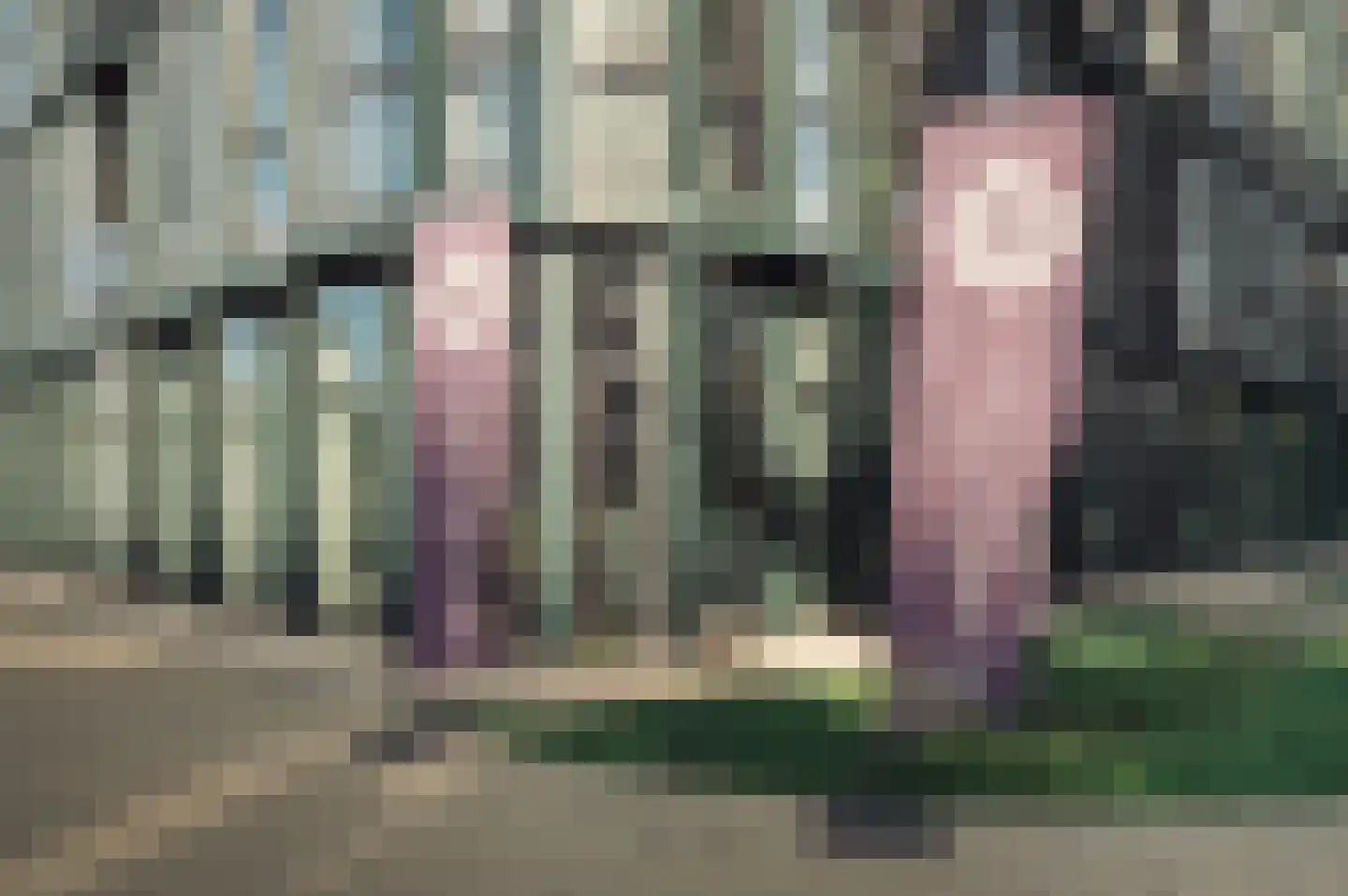 Surinamepad 232 Haarlem thumbnail 5