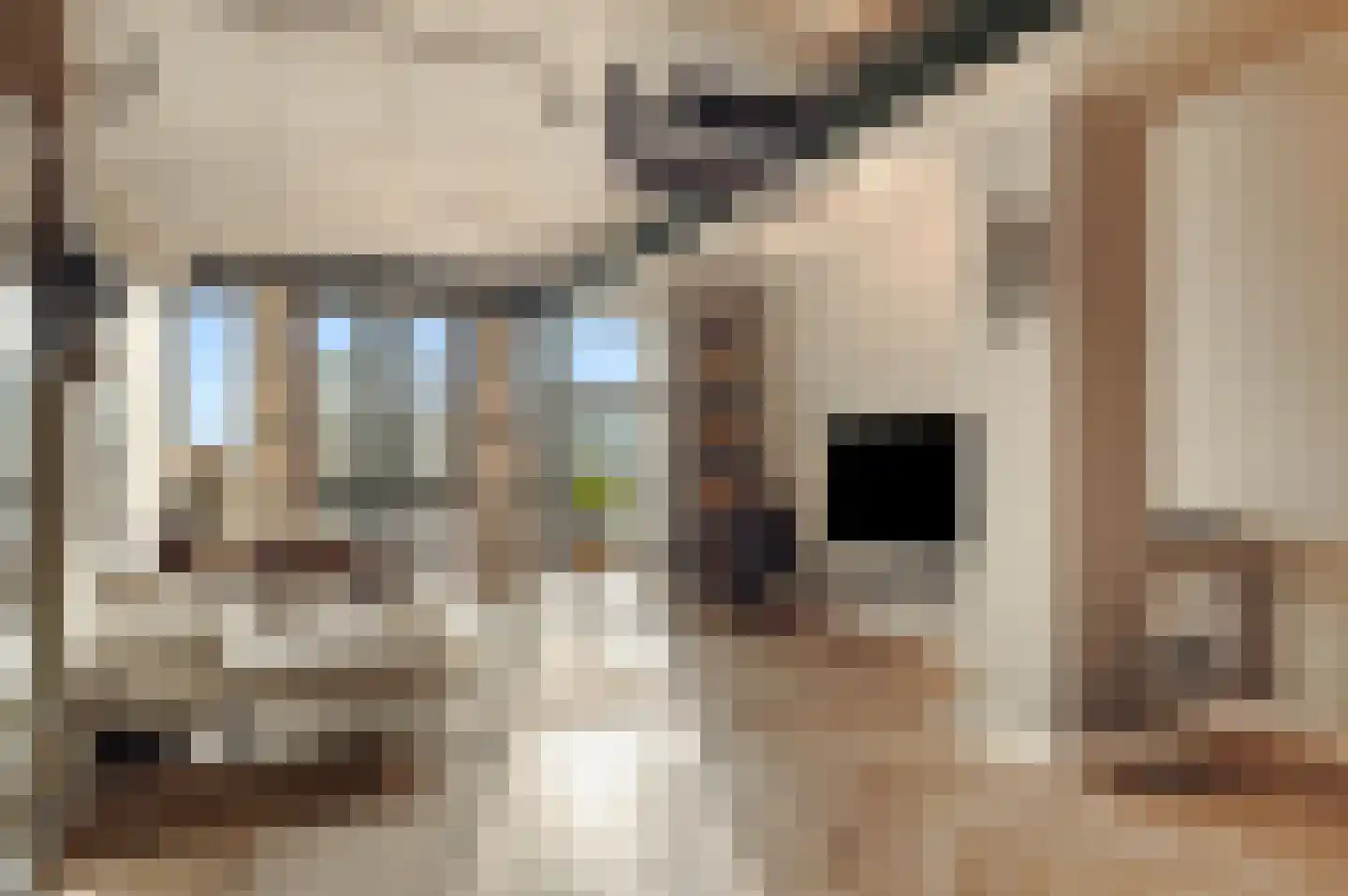 Surinamepad 232 Haarlem thumbnail 9