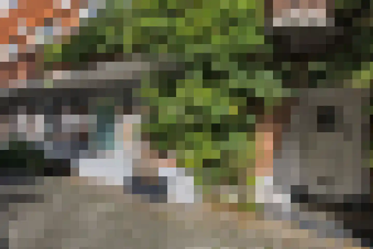 Surinameplein 10 2A Amsterdam thumbnail 6