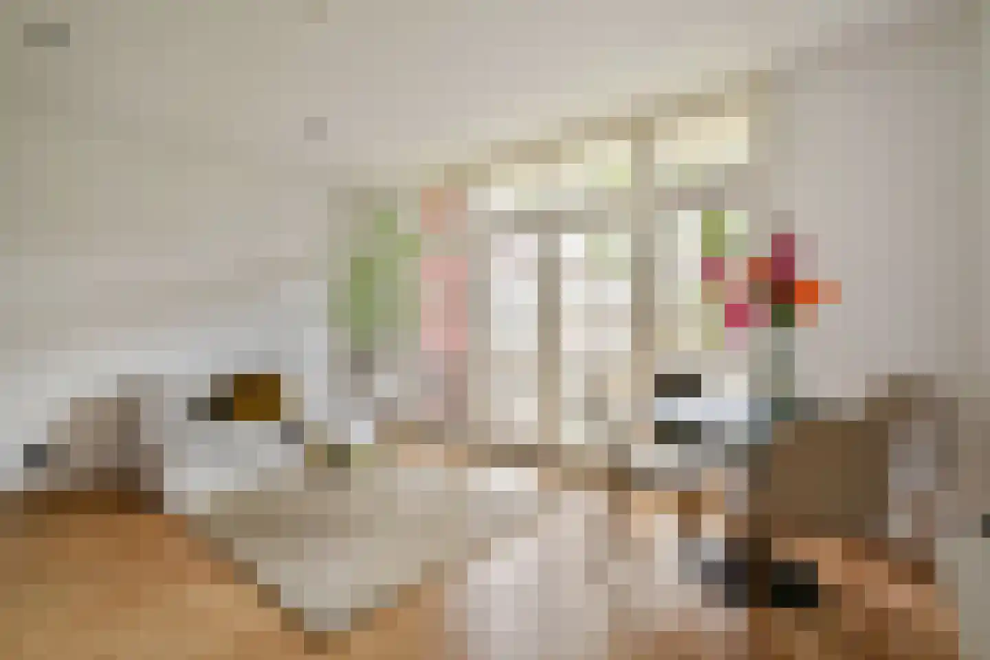 Surinameplein 10 2A Amsterdam thumbnail 9