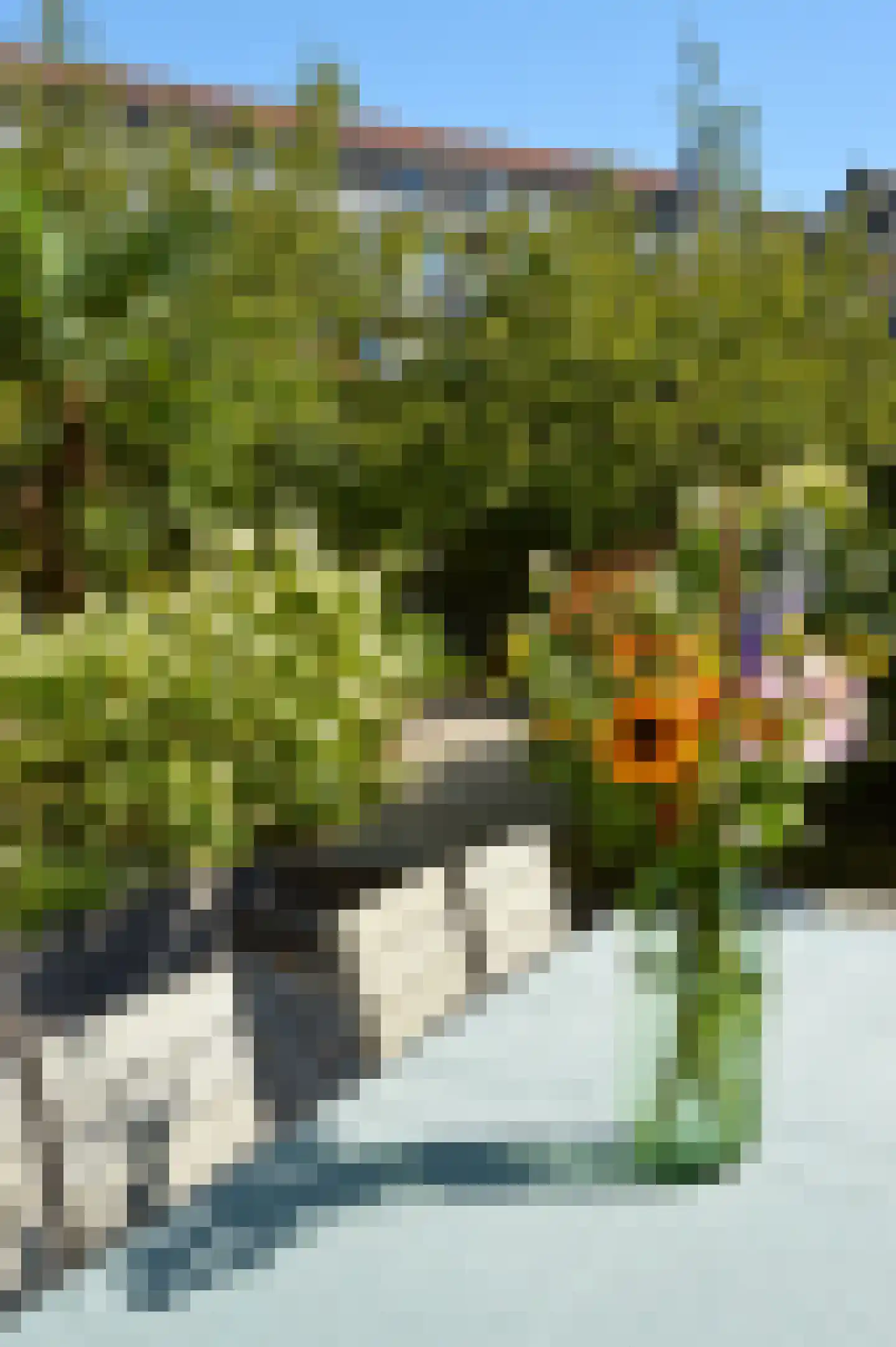 Surinameplein 10 H Amsterdam thumbnail 13