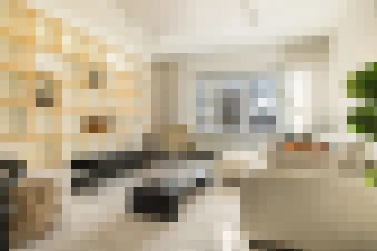 Surinameplein 10 H Amsterdam thumbnail 28