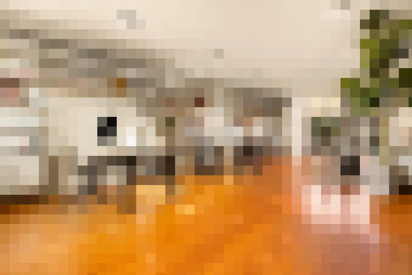 Surinameplein 10 H Amsterdam thumbnail 51