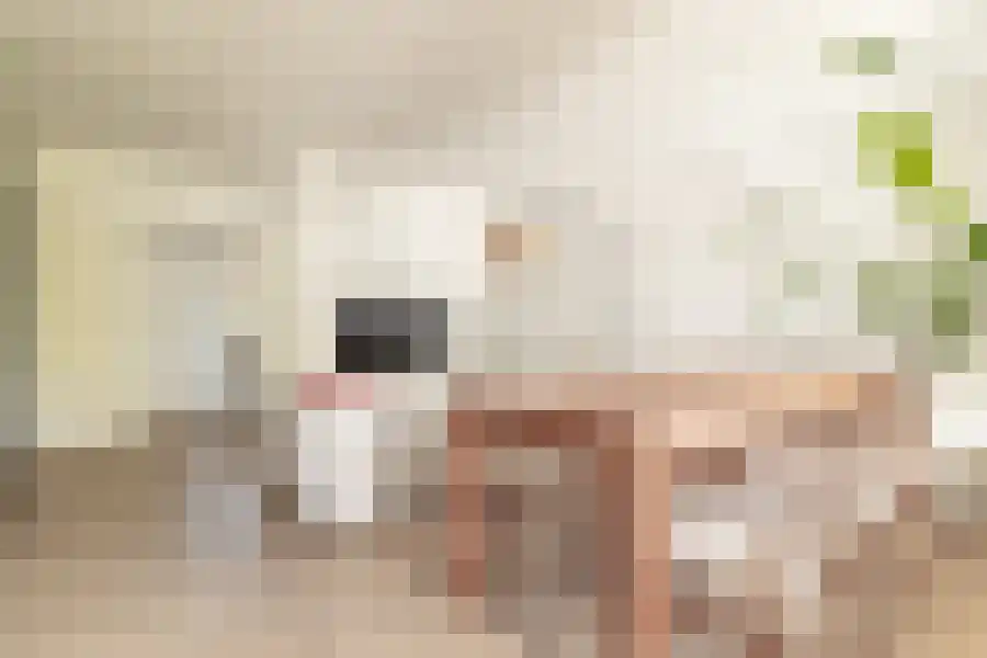 Surinameplein 115 Amsterdam thumbnail 7