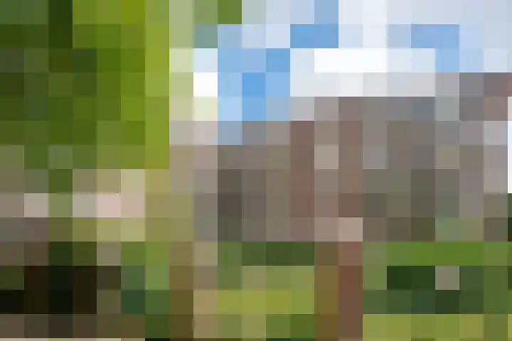 Surinameplein 149 Amsterdam thumbnail 43