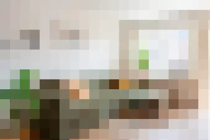 Surinameplein 149 Amsterdam thumbnail 6