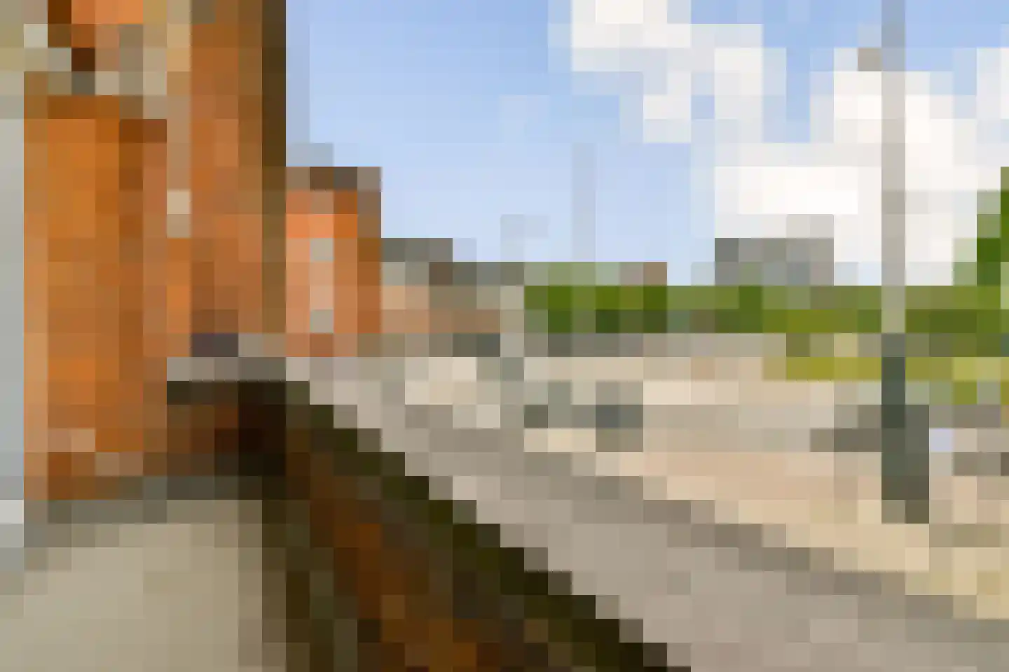 Surinameplein 2 1 Amsterdam thumbnail 12