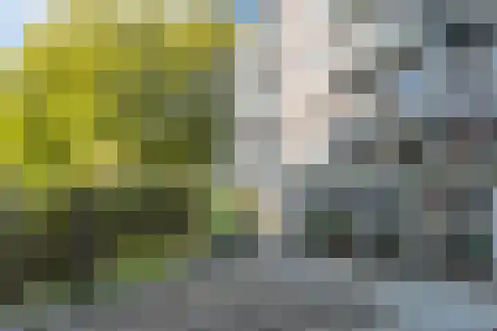 Surinameplein 69 Amsterdam thumbnail 6