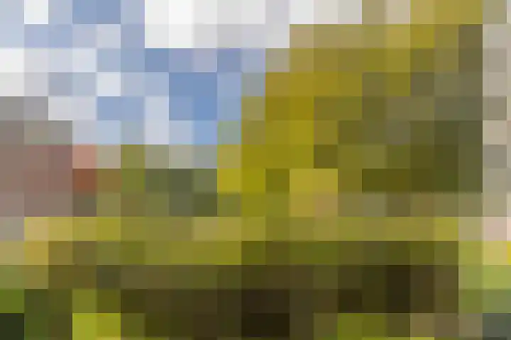 Surinameplein 69 Amsterdam thumbnail 7
