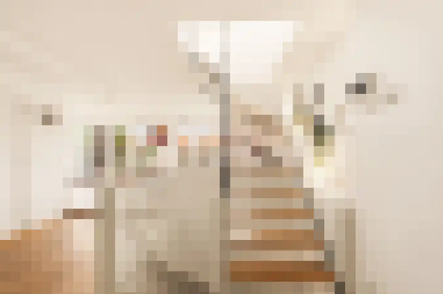 Surinameplein 76 4 Amsterdam thumbnail 18
