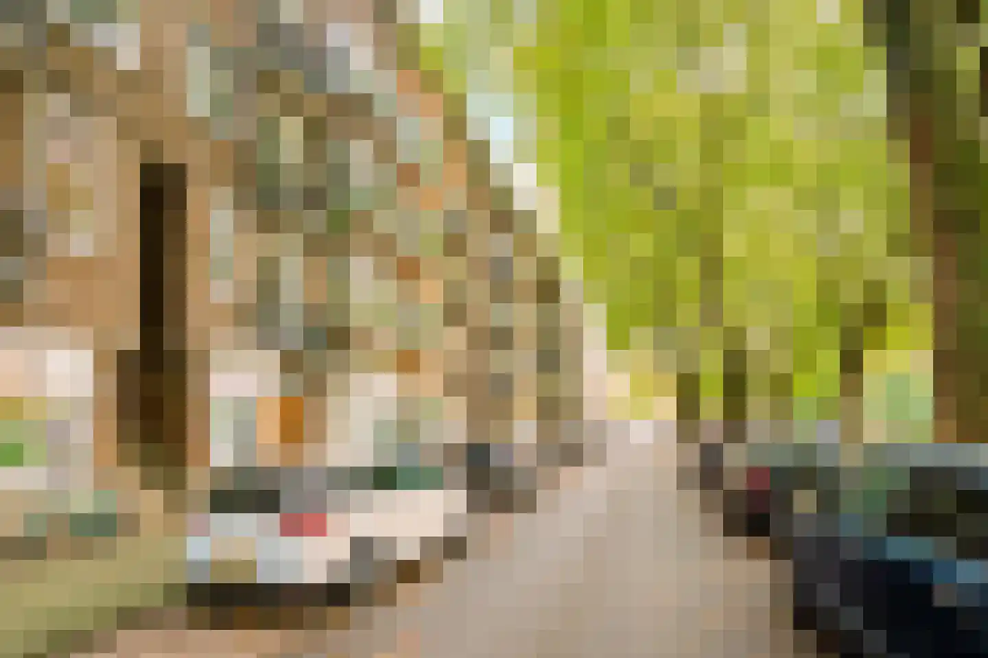 Surinameplein 76 4 Amsterdam thumbnail 24
