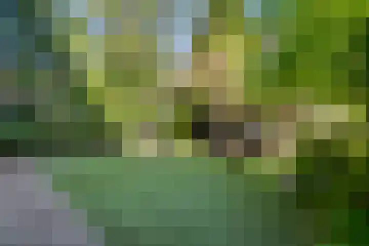 Surinameplein 78 Amsterdam thumbnail 30