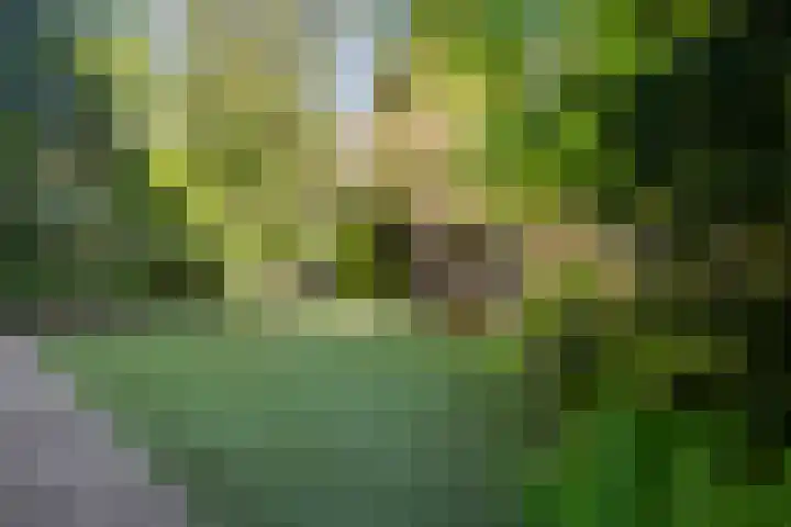 Surinameplein 78 Amsterdam thumbnail 8