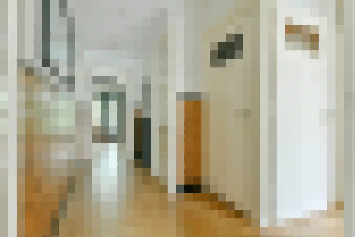 Surinameplein 82 3 Amsterdam thumbnail 16