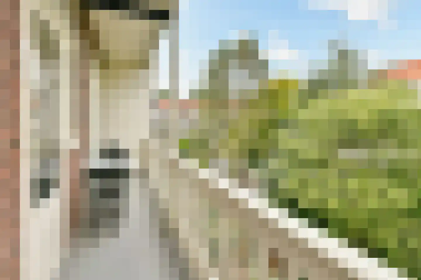 Surinameplein 82 3 Amsterdam thumbnail 24