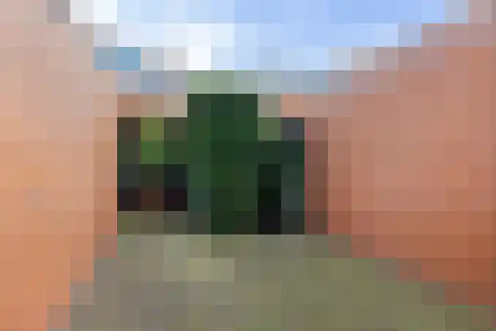 Surinamesingel 21 Heerenveen thumbnail 12