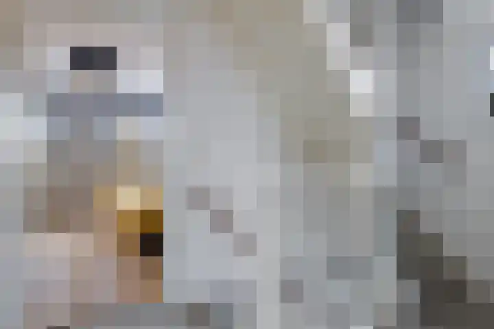 Surinamesingel 21 Heerenveen thumbnail 32