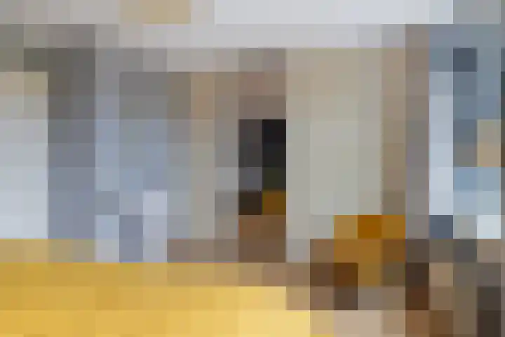 Surinamesingel 21 Heerenveen thumbnail 35