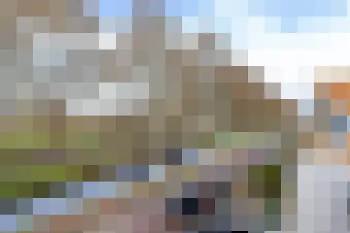 Surinamesingel 21 Heerenveen thumbnail 47
