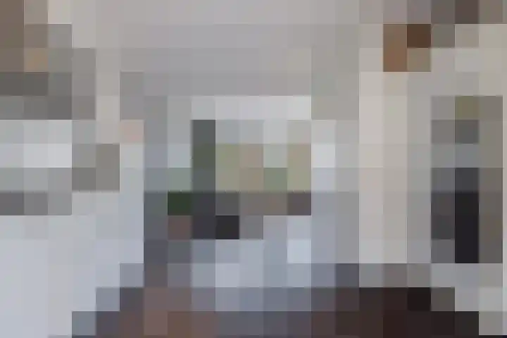 Surinamesingel 21 Heerenveen thumbnail 5