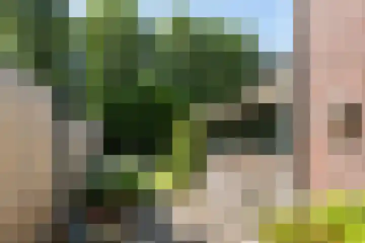 Surinamesingel 21 Vlaardingen thumbnail 16