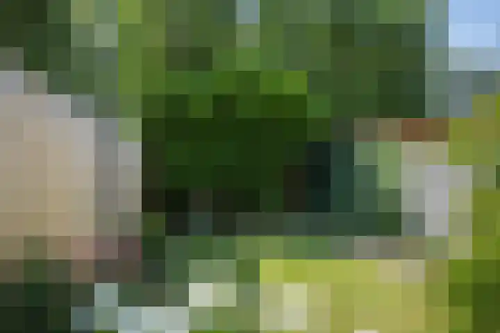 Surinamesingel 21 Vlaardingen thumbnail 17