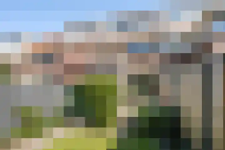 Surinamesingel 21 Vlaardingen thumbnail 18