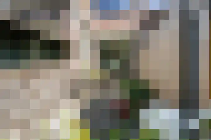 Surinamesingel 21 Vlaardingen thumbnail 19
