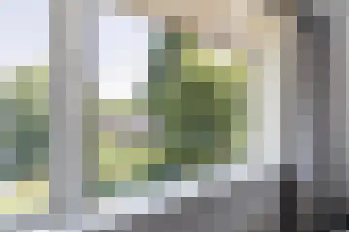 Surinamesingel 21 Vlaardingen thumbnail 25