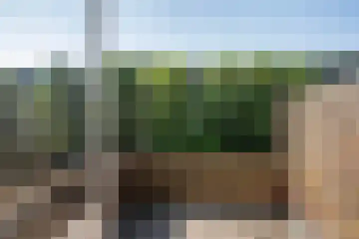 Surinamesingel 21 Vlaardingen thumbnail 35